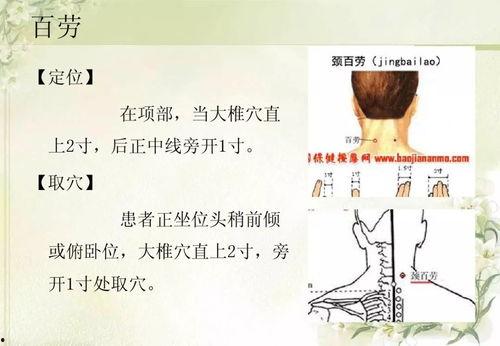 奇经疗法上热门话题,揭秘热门话题中的养生奥秘