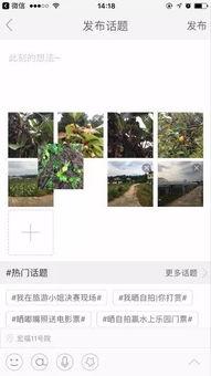 热门话题生活风景照片,热门话题下的生活风景掠影