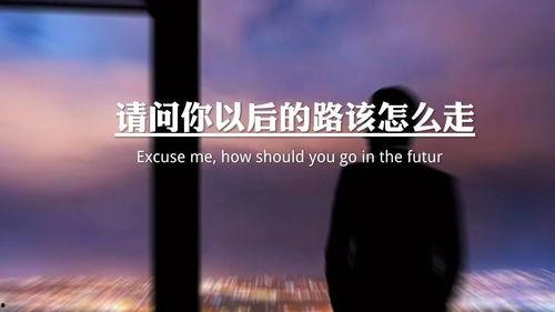 热门话题音乐情感语录,热门话题音乐语录解析
