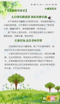热门话题踏青文案,探寻自然之美，共赴诗意之旅