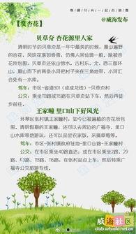 热门话题踏青文案,探寻自然之美，共赴诗意之旅