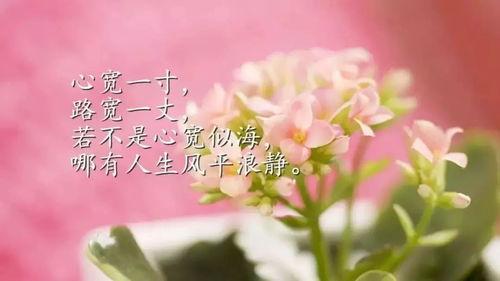 热门话题感悟短句,短句中的深度思考