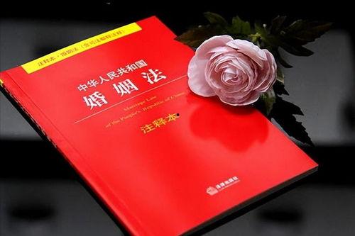 婚姻法热门话题,热门话题下的婚姻法律变革