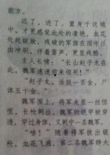 禅坐热门话题作文,心灵宁静的静谧之旅