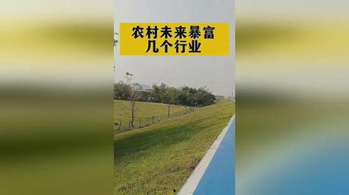 生活热门话题,解码生活新趋势