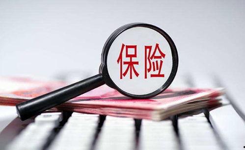 保险行业热门话题,聚焦科技赋能与风险管理的未来篇章