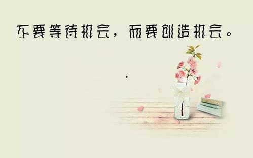 爱情励志文案热门话题,励志文案中的甜蜜启示录