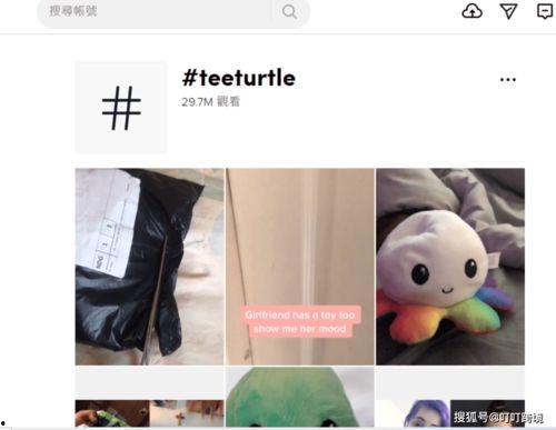 tiktok热门话题,揭秘当下年轻人关注的焦点与潮流动态