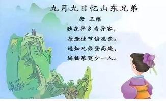 热门话题思乡的诗句,经典诗句中的思乡情怀