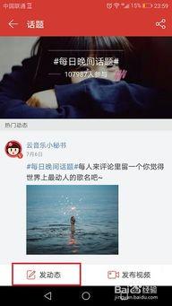 网易云音乐热门话题,探寻音乐与生活的共鸣瞬间