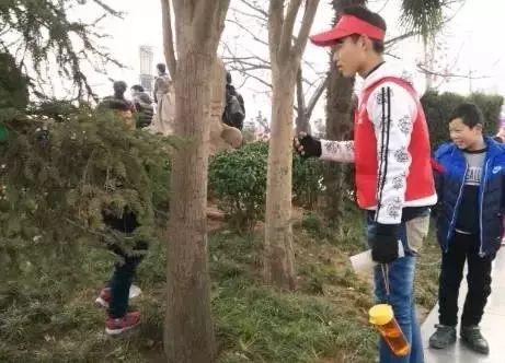 国庆热门话题,聚焦国家发展成就与民众心声