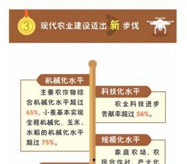 三农最热门话题,解码三农领域最新热点