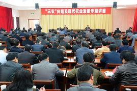 三农最热门话题,解码三农领域最新热点