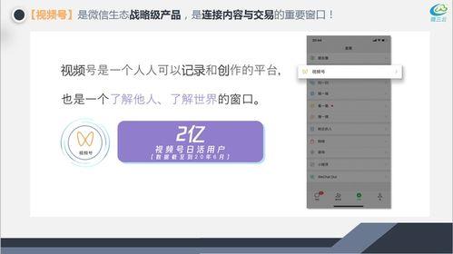 视频号热门话题,揭秘当下热门话题背后的故事与趋势