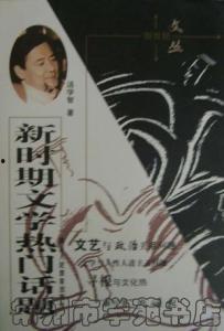 文学热门话题,文学热潮下的时代共鸣与心灵探索