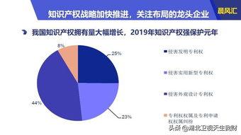 知识产权热门话题,解码创新保护新趋势