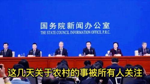 热门话题农民英语,助力乡村振兴的国际交流桥梁