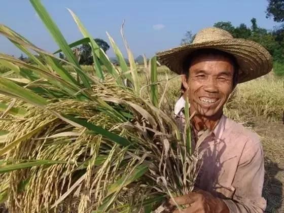 热门话题农民英语,助力乡村振兴的国际交流桥梁