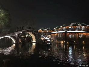 乌镇论坛热门话题推荐,数字赋能未来，共创智慧新篇章