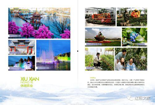 辽阳热门话题推荐,探寻古城新风尚，聚焦热点话题全景解读